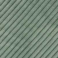 Zielony Sztruks Premium