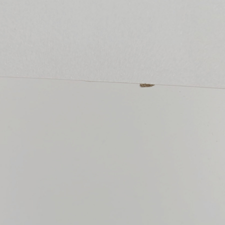 OUTLET MISIOO Kleine Wippe + Kletterwand/Rutsche, weiß Wooden Play