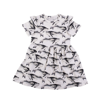 Misioo Sukienka, Whale