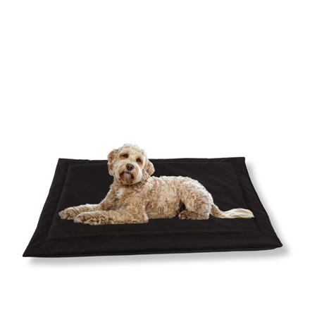 Hundematte Wasserdicht Schwarz 120x80cm